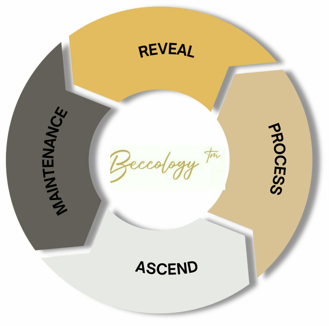 Beccology Reveal Process Ascend Maintenance